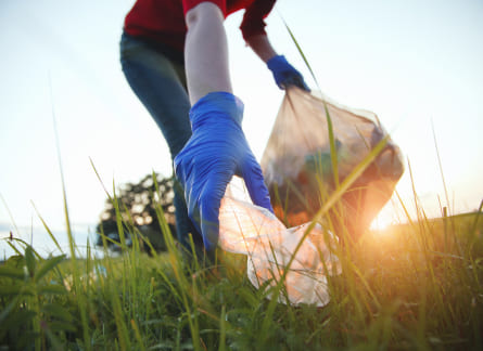 Чистые игры — проект по уборке территории парков, заповедников от мусора